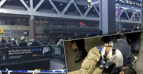 NYC suspected bomber photos video