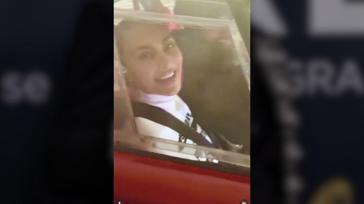 picture of Lewis Hamilton