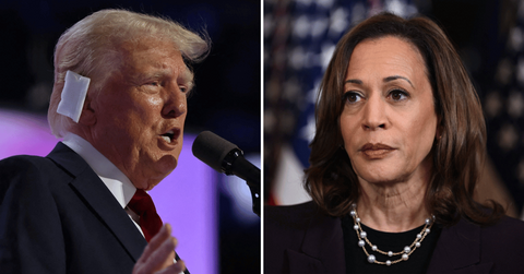 Composite photo of Donald Trump; Kamala Harris