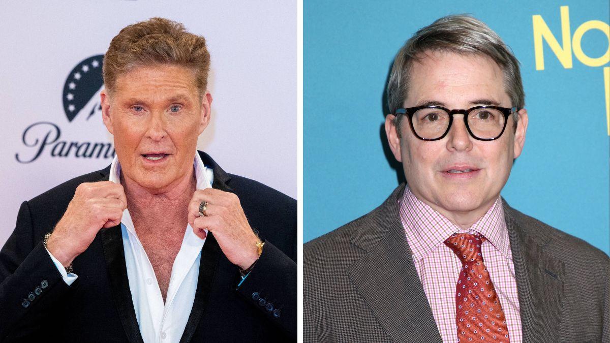 david hasselhoff revenge matthew broderick