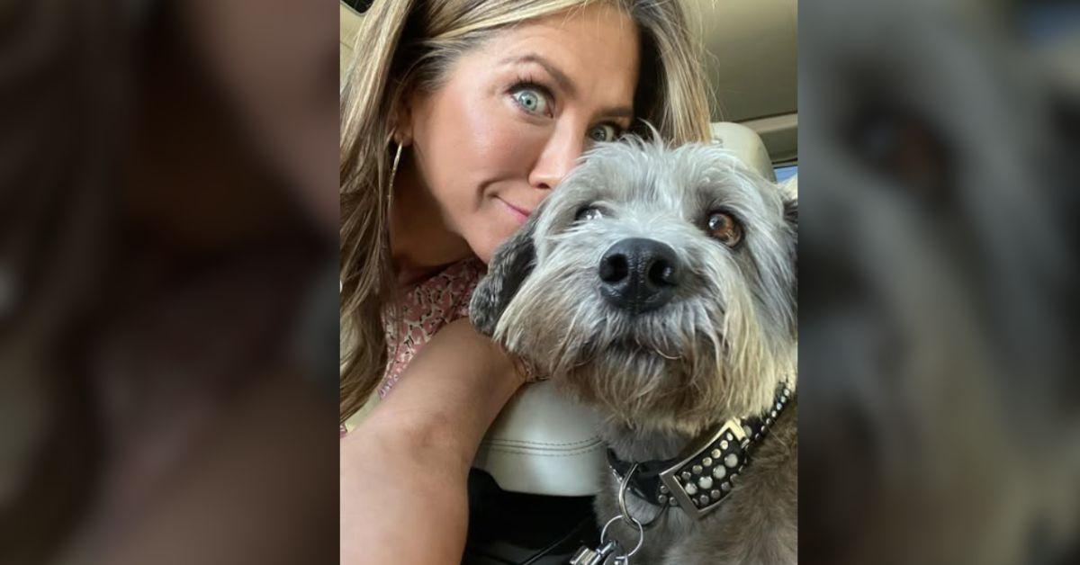 Photo of Jennifer Aniston