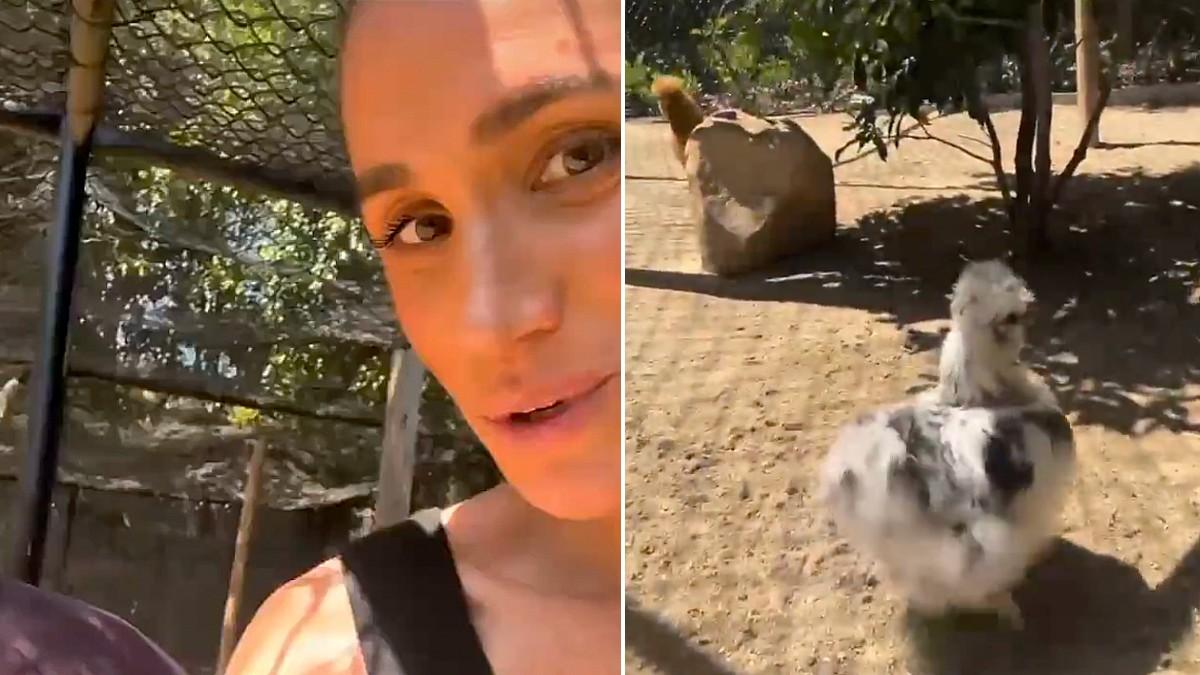Photo of Meghan Markle