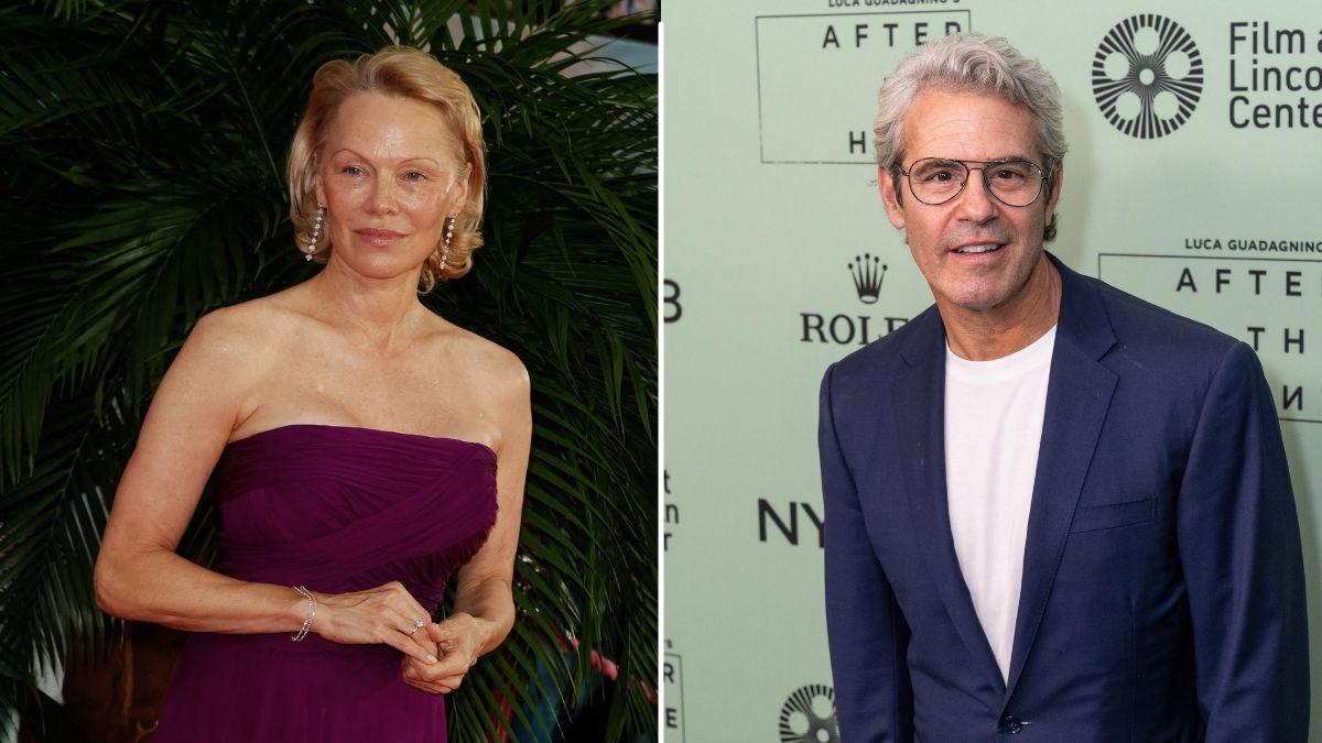 Friends said Anderson used a recent Cohen interview to signal she wants to reconnect with Lee and mark their son's milestones together.