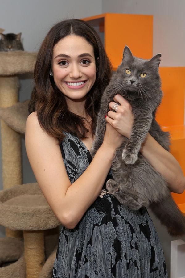 emmy rossum pets windows best friends animal society