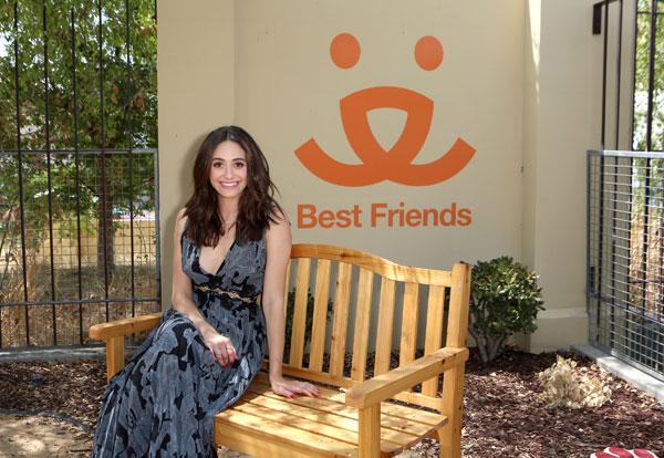 emmy rossum pets windows best friends animal society