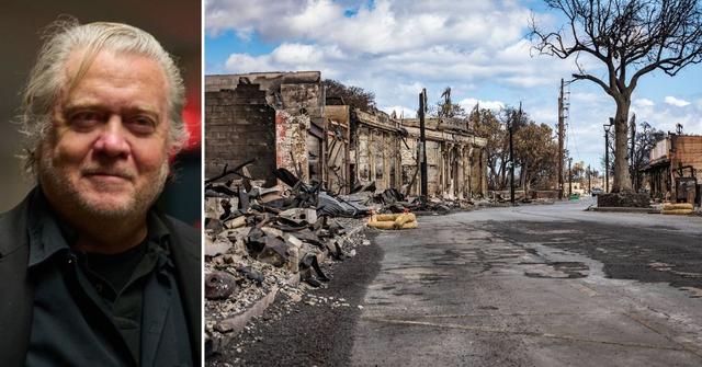 hawaii resident hijack steve bannon podcast slam show exploit wildfirejpg