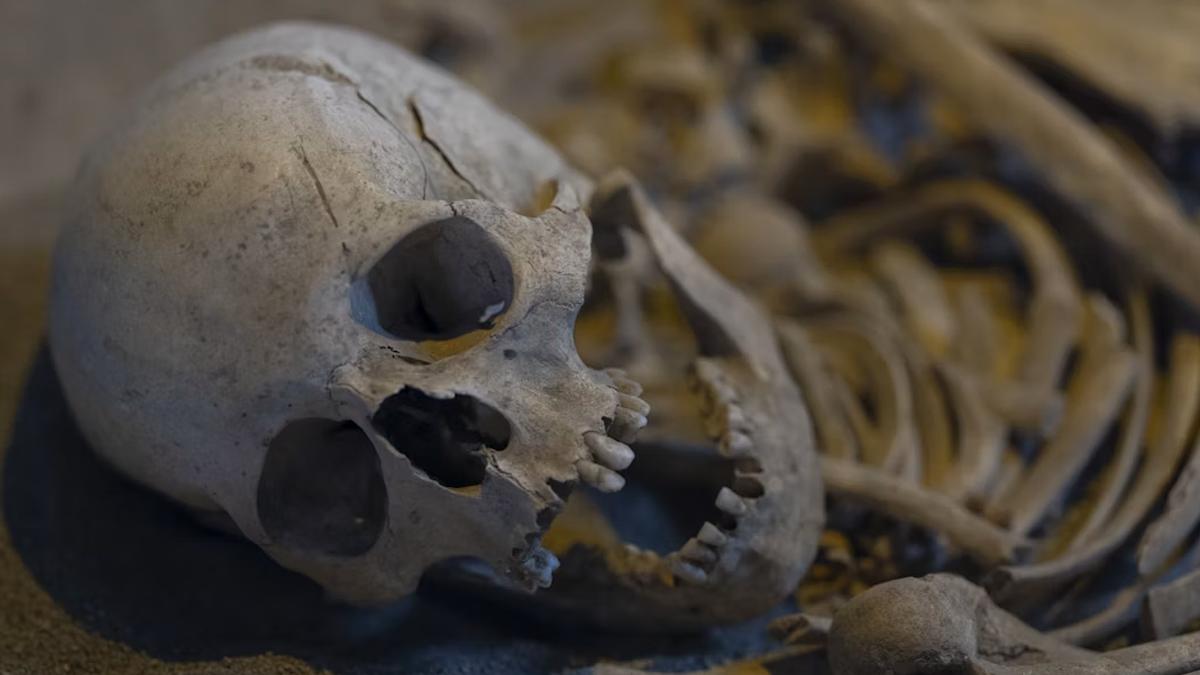 A police raid of the man's home uncovered bones and other body parts.