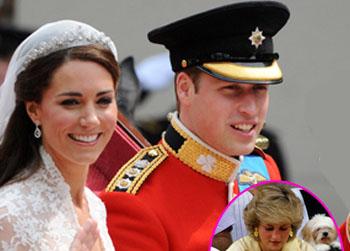 //prince william wenn