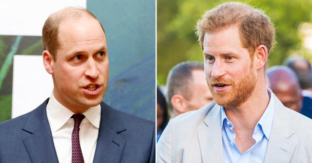 prince william kate youtube harry oprah royal family feud r