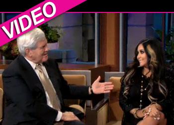 //snooki newt gingrich nbc