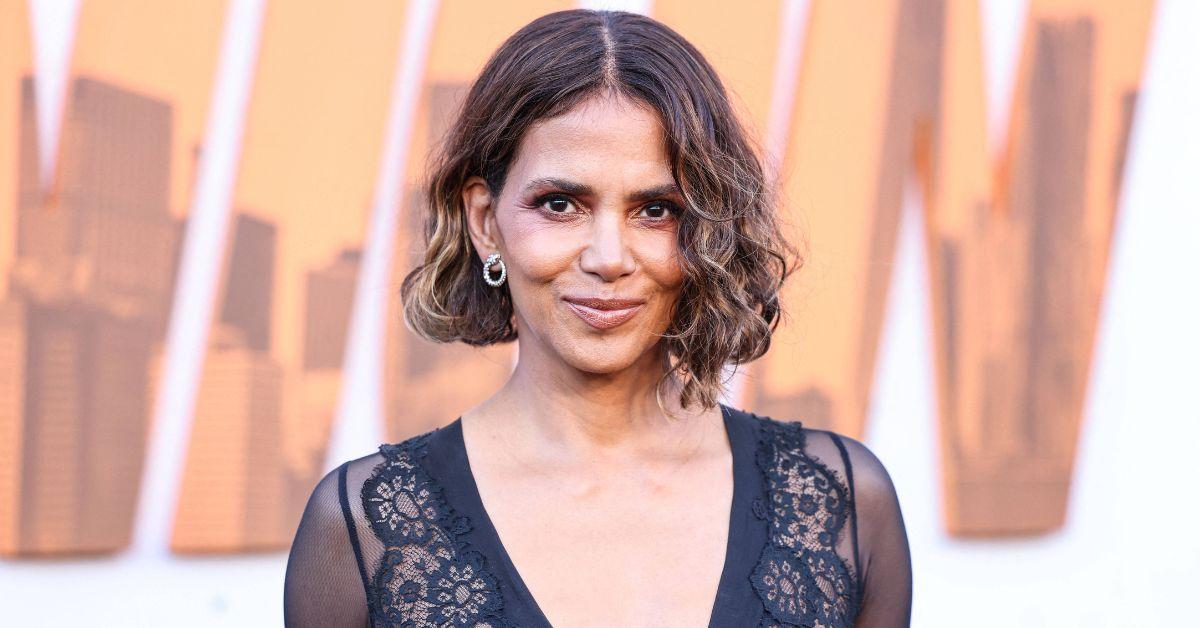 Halle Berry Will 'Never' Give Up in Custody Fight With Olivier Martinez