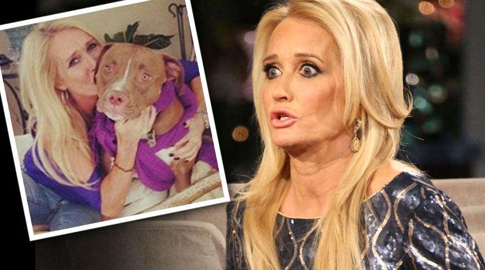 Kim Richards Sued Over Violent Dog