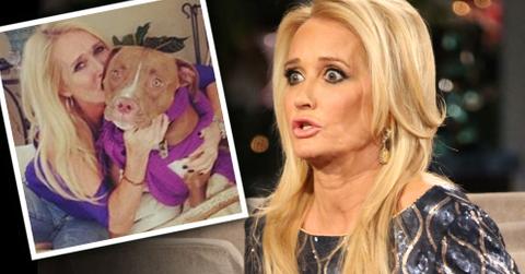 Kim Richards Sued Over Violent Dog