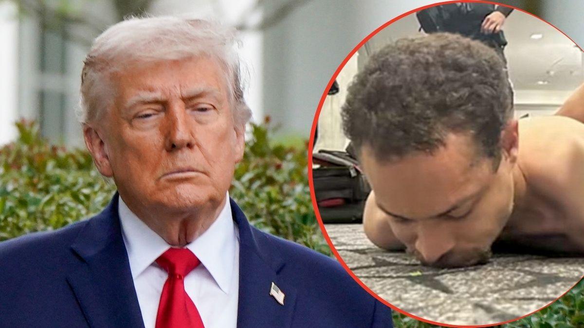 split image of Donald Trump and Cole Allen