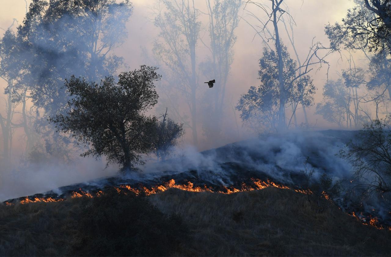 california wildfire devastation celebrity homes evacuation danger