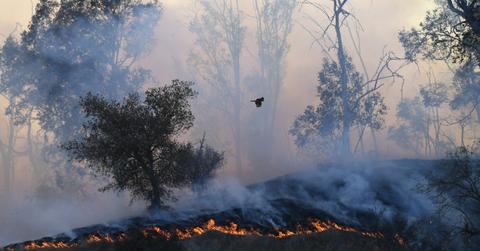 california wildfire devastation celebrity homes evacuation danger