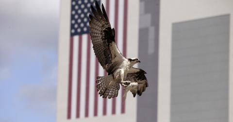 reasons to invest in net lease properties over traditional investments pp