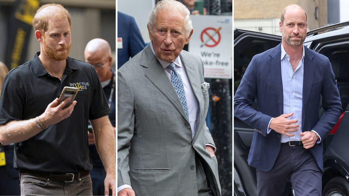 King Charles is said to be privately frustrated by Prince William's workload and carefully crafted public image.