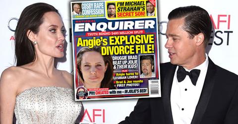 angelina jolie brad pitt divorce file