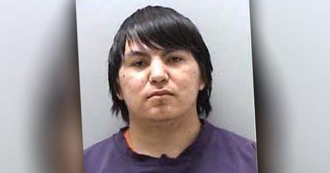 //minnesota mailman arrested sexual act dog