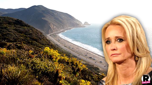 Kim Richards Treatment Plan