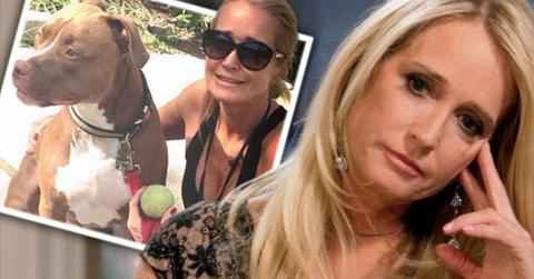 //kim richards dog attack