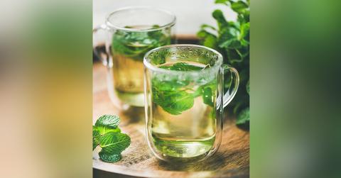 tribe takes on a tiktok trend cbd romaine lettuce tea