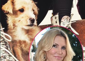 Brandi Glanville Adopts Adorable New Puppy