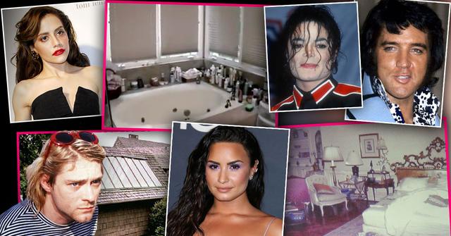 Celebrity House of Horrors
