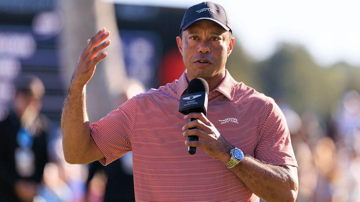 image of Tiger Woods