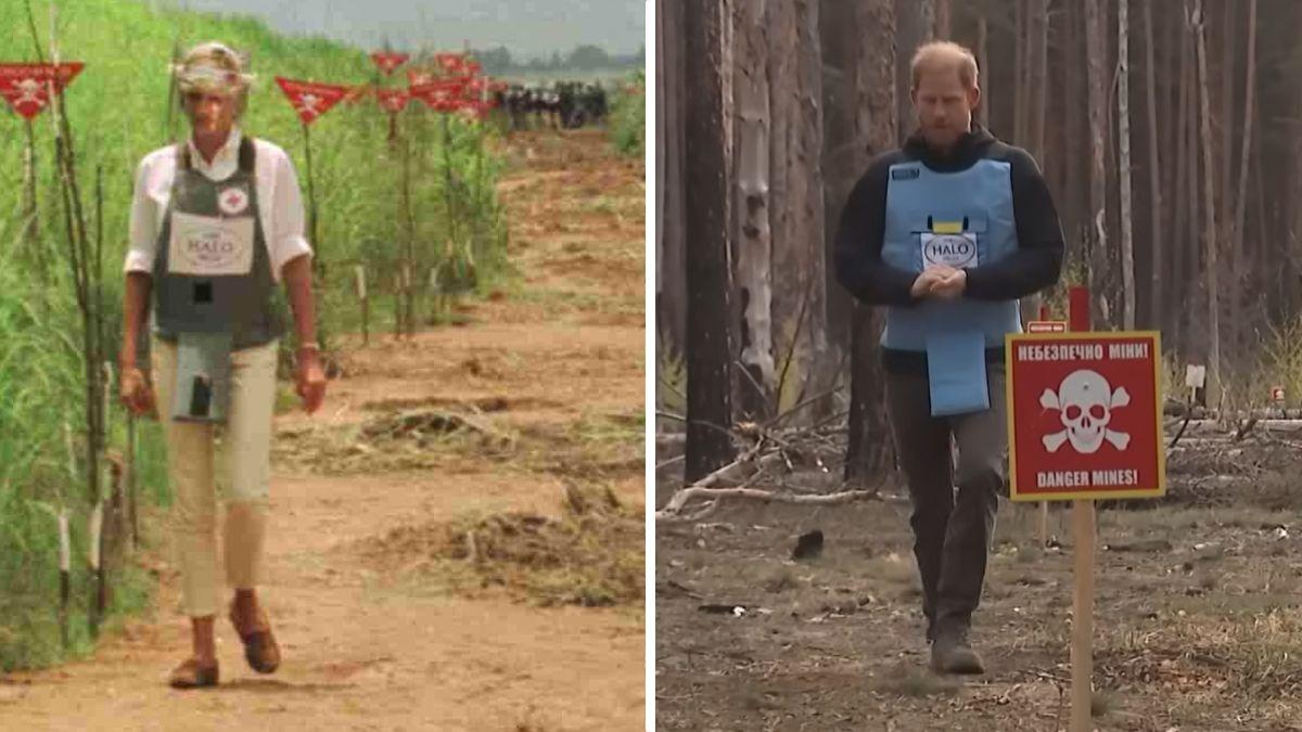 Split photo of Princess Diana and Prince Harry 