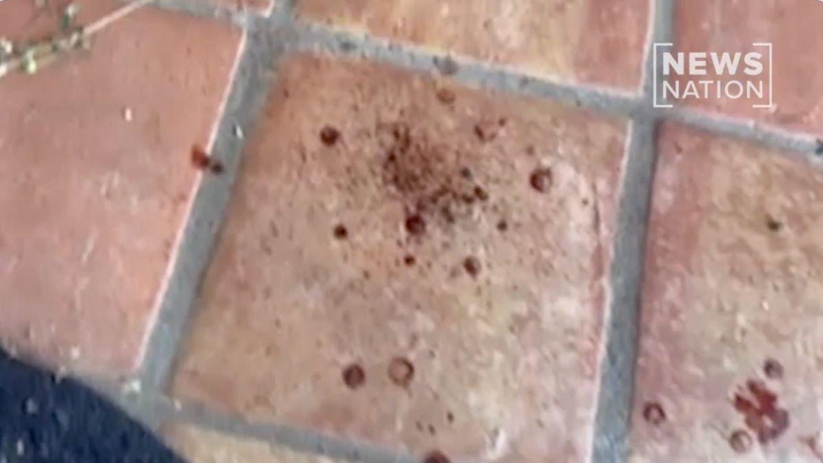 Photo of blood stains