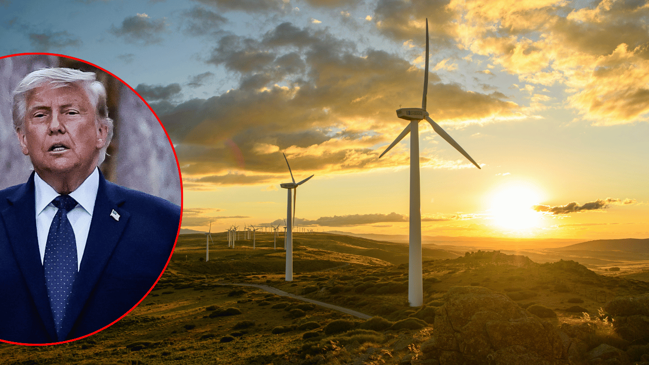 The president said any country that uses windmill energy is a loser.