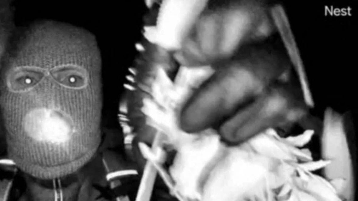 A photo of an individual at Nancy Guthrie's home the night she went missing