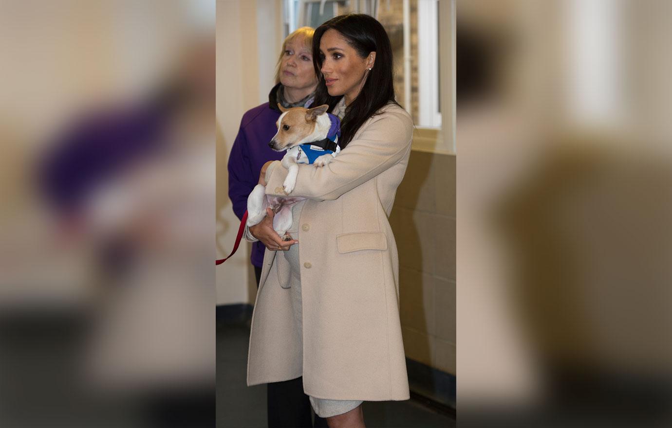 ‘Fat’ Meghan Markle Laughs Off Royal Insult During Animal Charity Visit