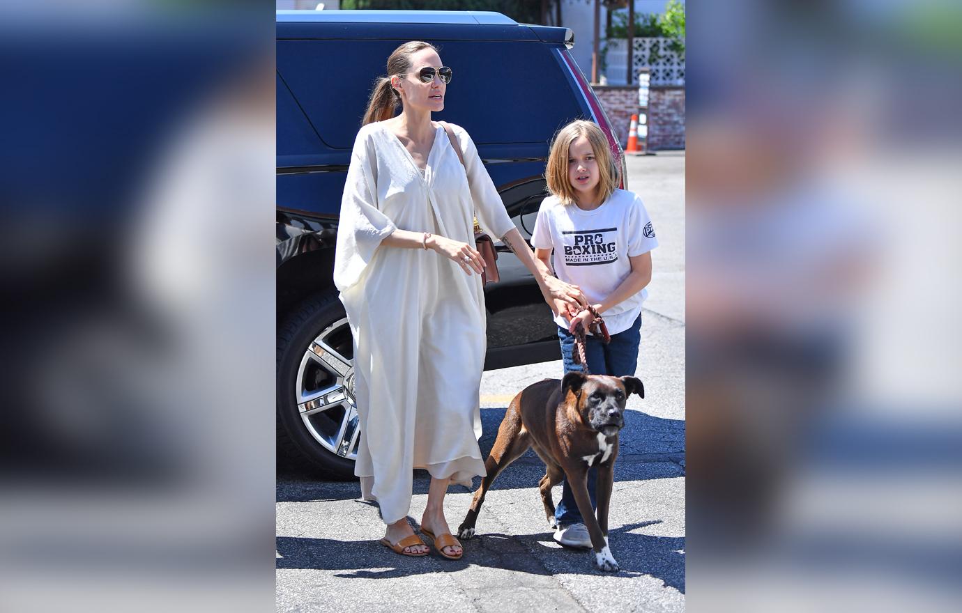 Angelina Jolie and Vivienne Jolie-Pitt head to a dog supply store in Los Angeles.