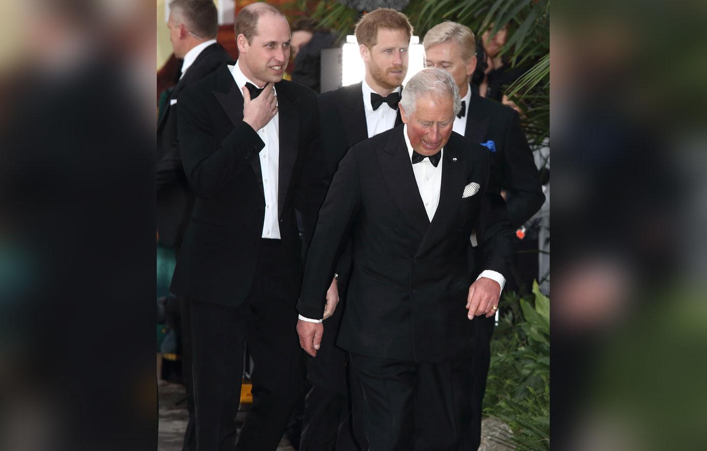 Prince Harry Received 'Substantial' Amount Of From Prince Charles After
