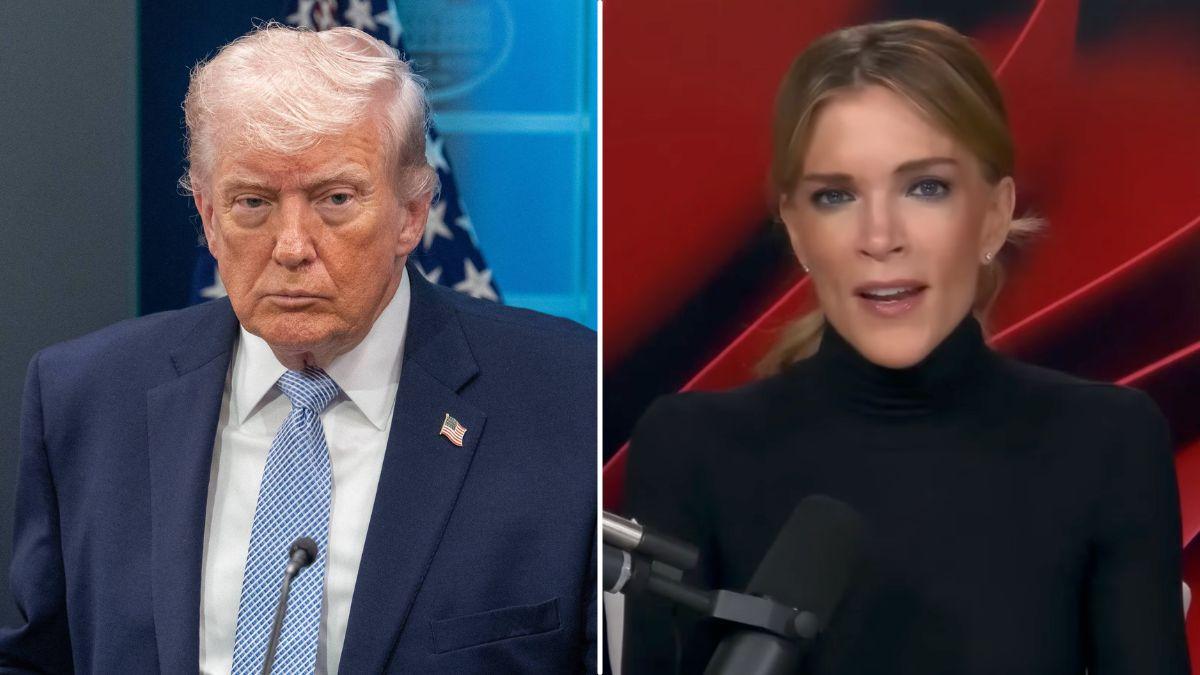 split image of Donald Trump and Megyn Kelly