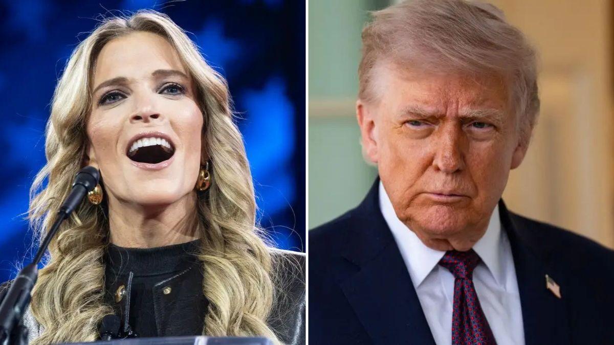 megyn kelly, donald trump