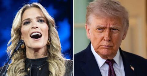 megyn kelly, donald trump