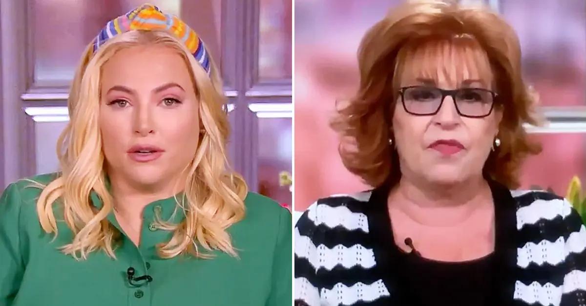 meghan mccain joy behar gallery pic