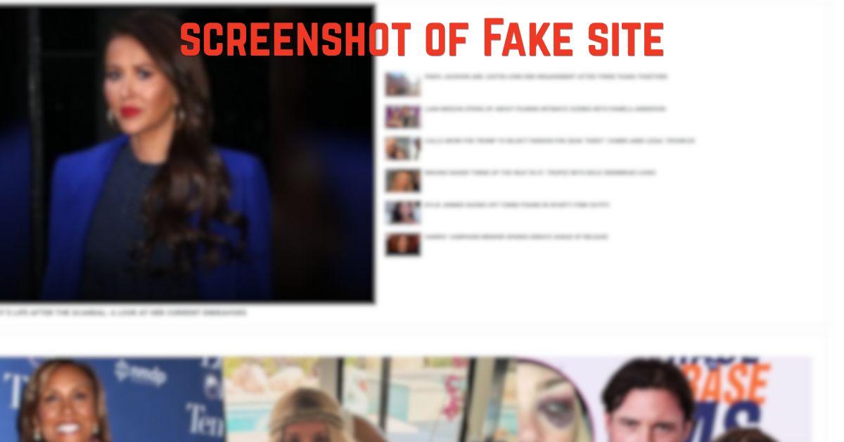 Screenshot of fake site being used to push false narratives