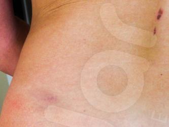 //beverly hills nannies ariane bellamar beaten up sundance date patrick henry