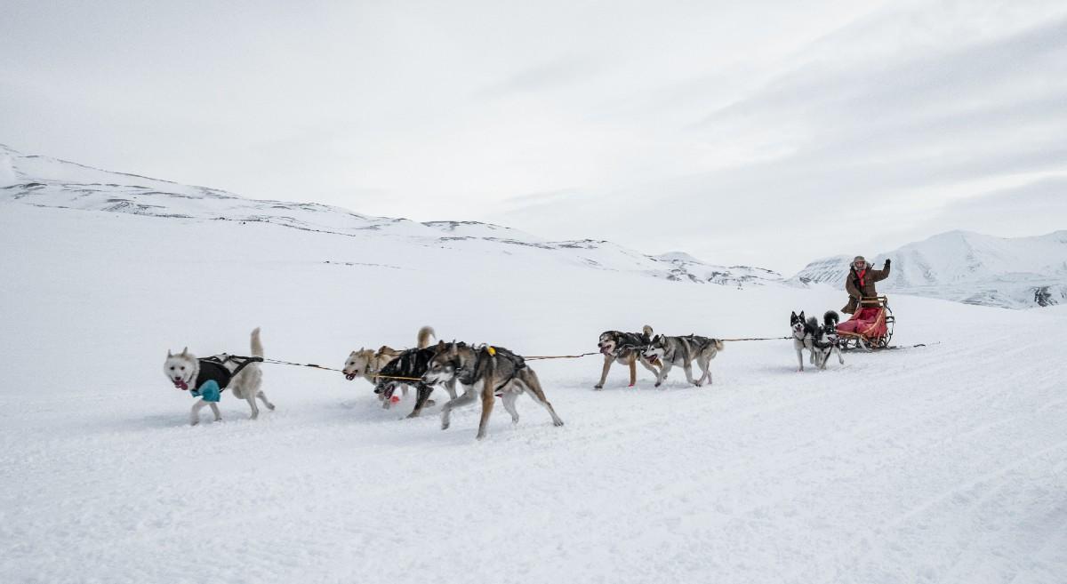 Photo of The Sirius Dog Sled Patrol