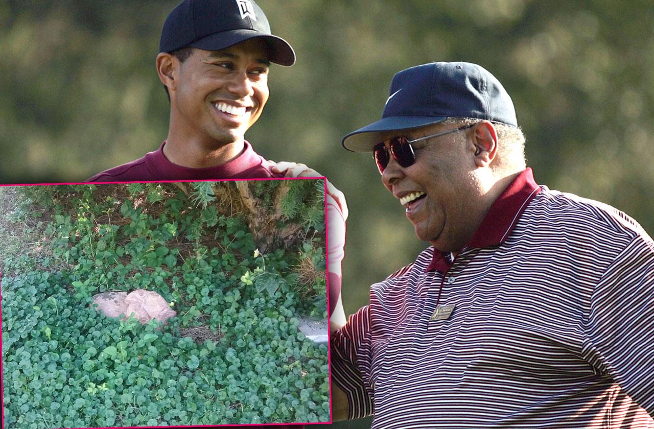 //Tiger Woods Dad Grave Abandoned Overgrown Weeds pp