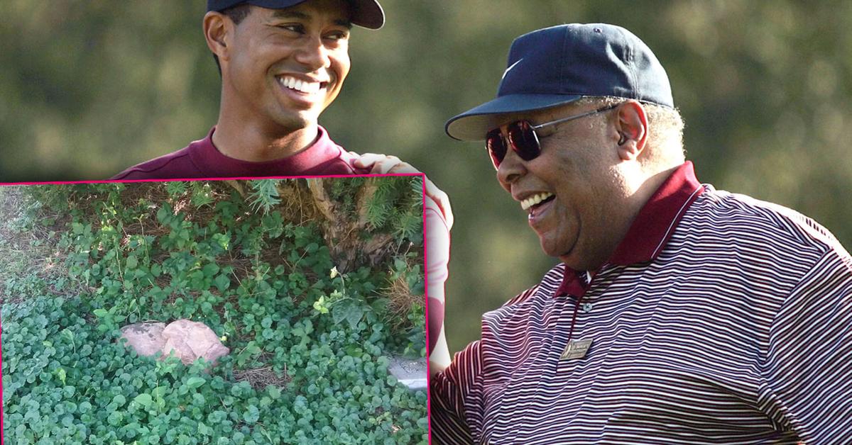 Exclusive Photos Tiger Woods’ Dad’s Grave Overgrown With Weeds