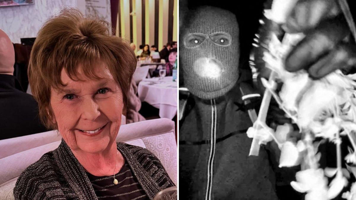 picture of Nancy Guthrie and suspected kidnapper