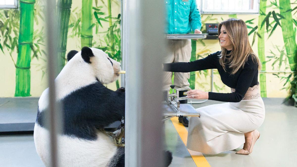 Photo of Melania Trump