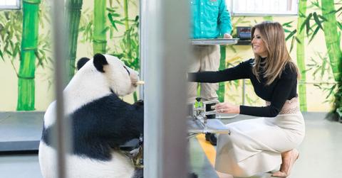 Photo of Melania Trump