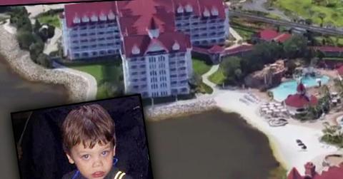 //disney alligator attack lawsuit claims ppbENKyd